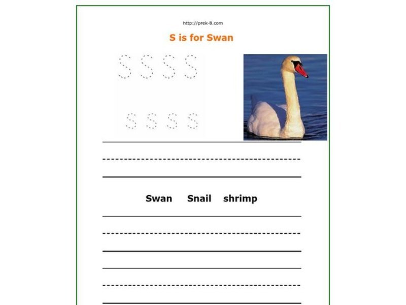 S is for Swan Worksheet