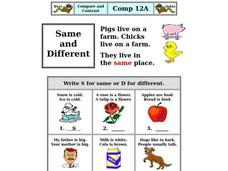 Same and Different Worksheet
