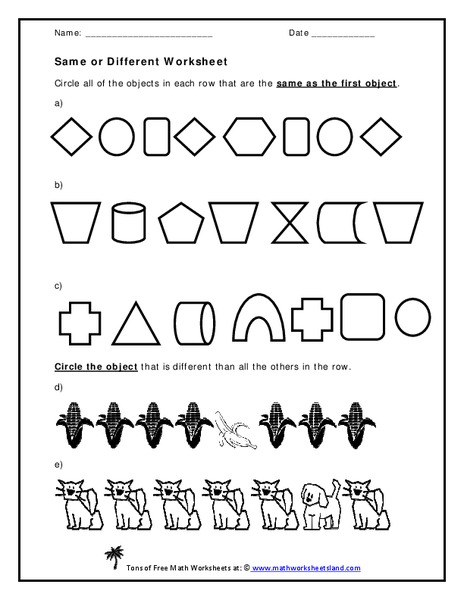 Same or Different Worksheet