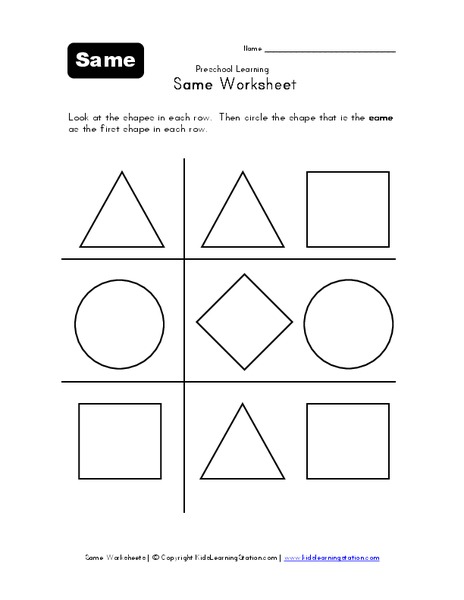 Same Worksheet Worksheet