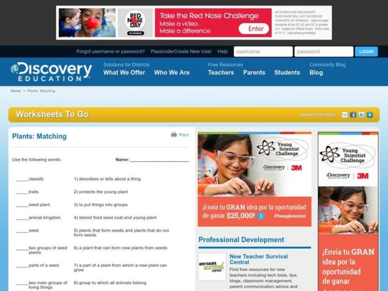 Science Quiz:  Plants Worksheet