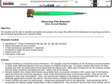 Science: Observing Fish Behavior Lesson Plan