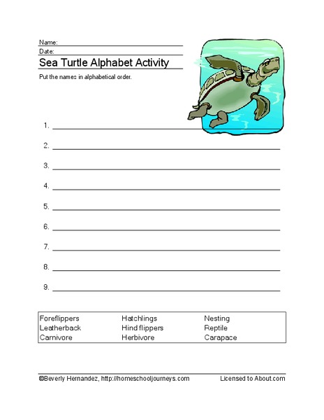 Sea Turtle Alphabet Activity Worksheet