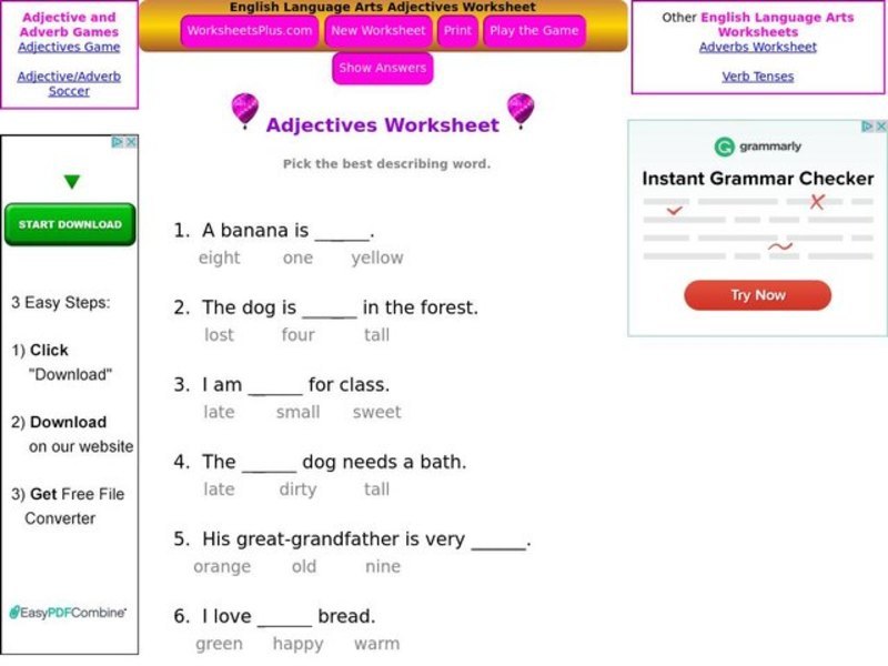 Adjective Practice Interactive