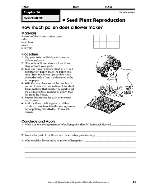 Seed Plant Reproduction Worksheet
