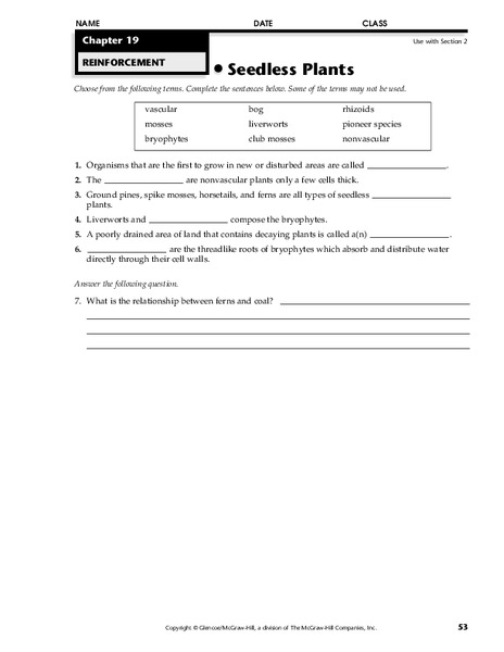 Seedless Plants Worksheet