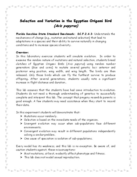 Selection and Variation in the Egyptian Origami Bird Lesson Plan