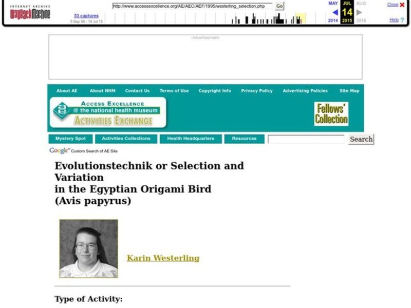 Selection and Variation in the Egyptian Origami Bird Lesson Plan