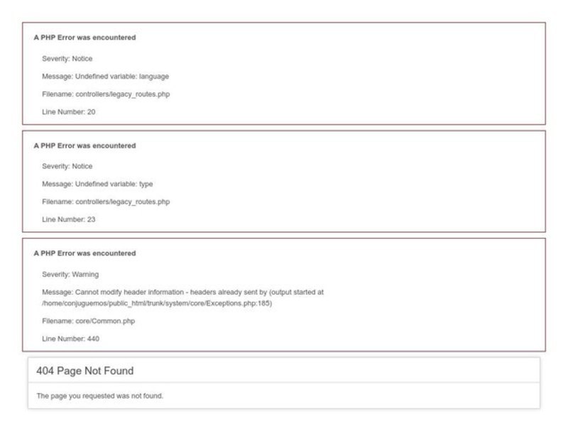 Adjective and Noun Agreement Worksheet