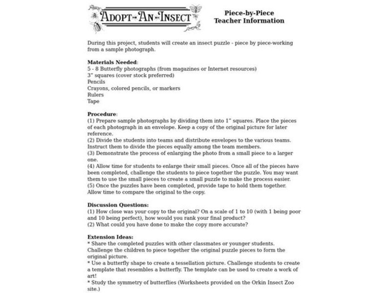 Adopt An Insect Worksheet