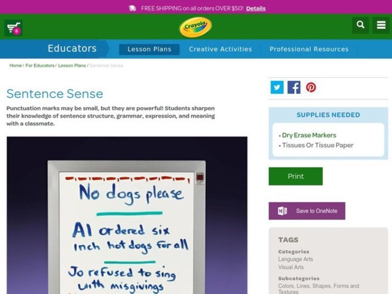 Sentence Sense Lesson Plan