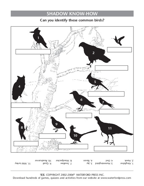 Shadow Know-How Worksheet