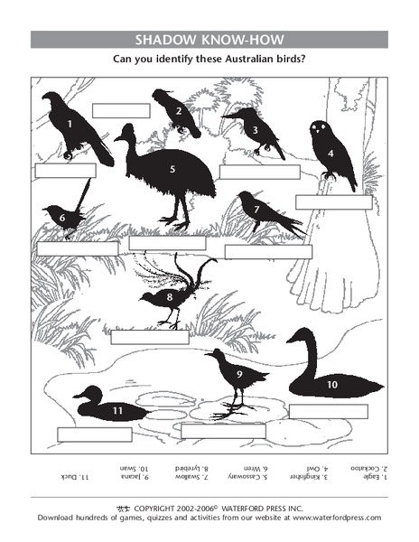 Shadow Know-How Lesson Plan