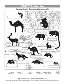 Shadow Know-How Lesson Plan