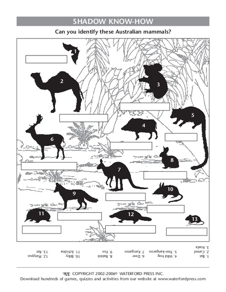 Shadow Know-How Lesson Plan