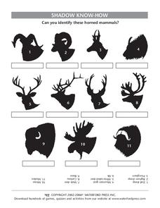 Shadow Know-How Lesson Plan