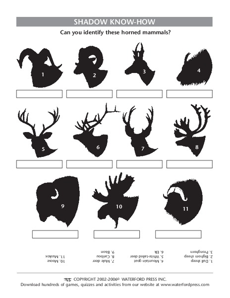 Shadow Know-How Lesson Plan