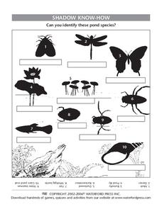 Shadow Know-How Lesson Plan