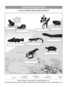 Shadow Know-How Lesson Plan