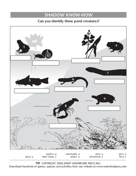 Shadow Know-How Lesson Plan