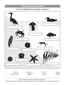 Shadow Know-How Lesson Plan