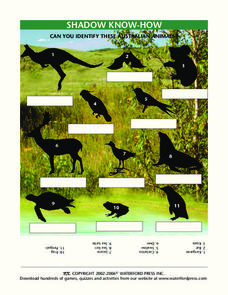 Shadow Know-How Lesson Plan