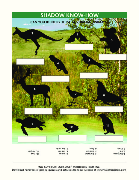 Shadow Know-How Lesson Plan