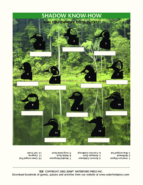 Shadow Know-How Lesson Plan