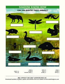 Shadow Know-How Lesson Plan