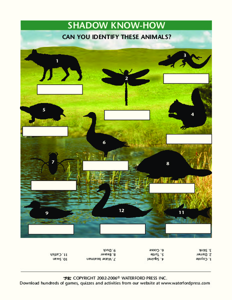 Shadow Know-How Lesson Plan