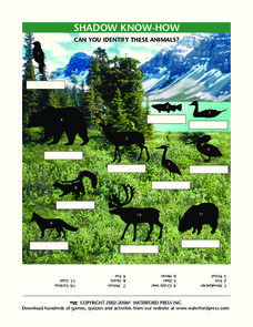 Shadow Know-How Lesson Plan