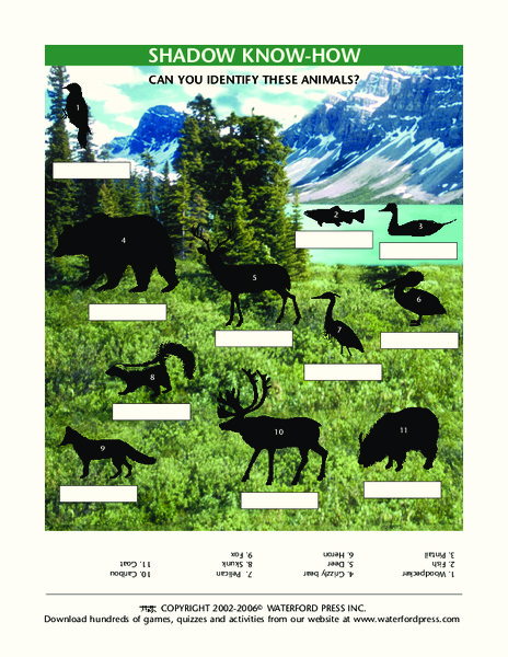 Shadow Know-How Lesson Plan