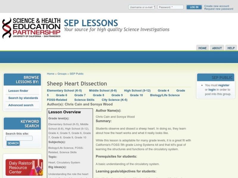 Sheep Heart Dissection Lesson Plan