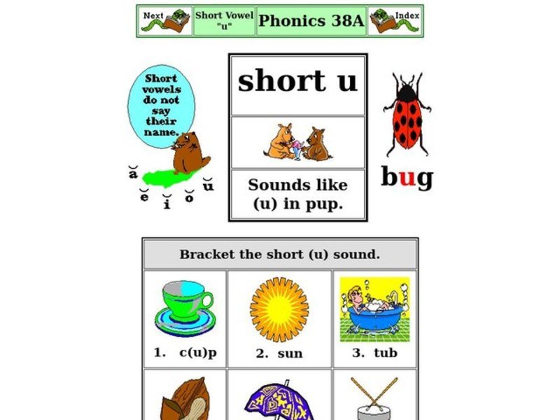Short Vowel "U" Worksheet