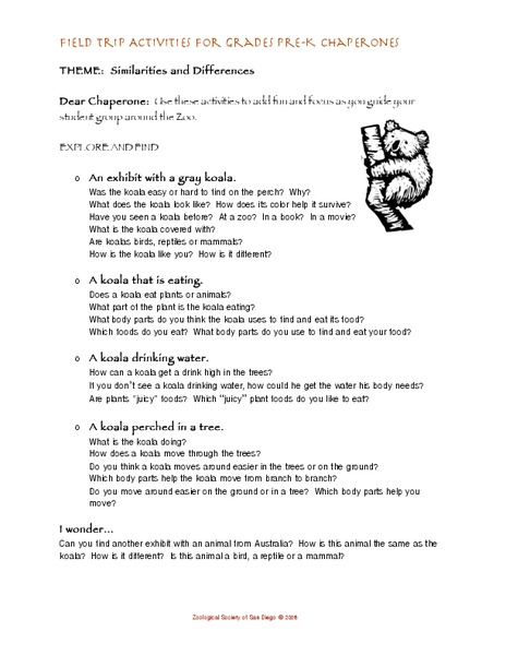 Similarities and Differences Lesson Plan