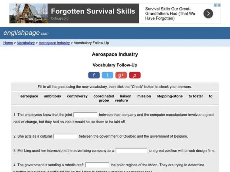 Aerospace Industry: Vocabulary Skills Interactive