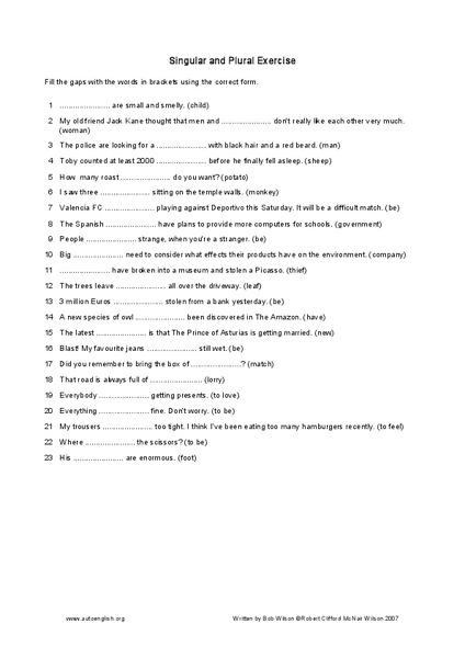 Singular and Plural Exercise Worksheet