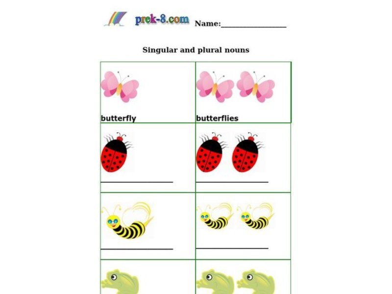 Singular and Plural Nouns Worksheet