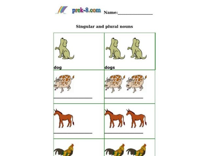 Singular and Plural Nouns Worksheet