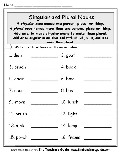 Singular and Plural Nouns Worksheet