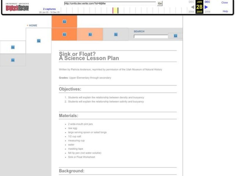 Sink or Float? Lesson Plan