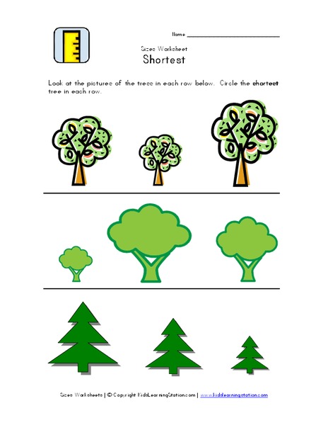 Sizes Worksheet: Shortest Worksheet
