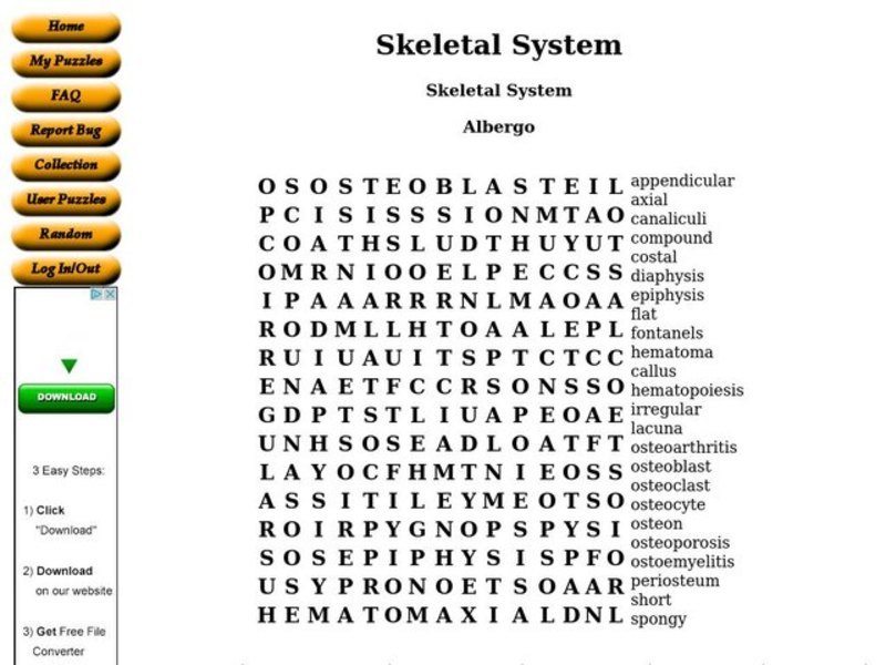 Skeletal System Worksheet