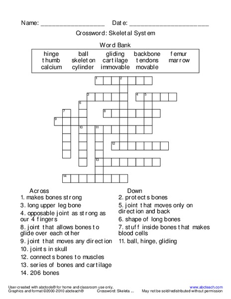 Skeletal System Crossword Worksheet