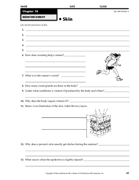 Skin Worksheet