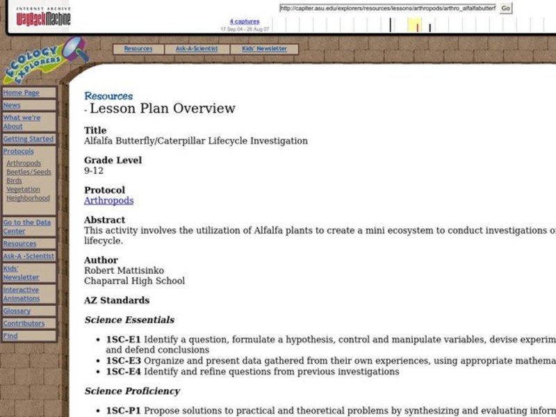 Alfalfa Butterfly/Caterpillar Lifecycle Investigation Lesson Plan