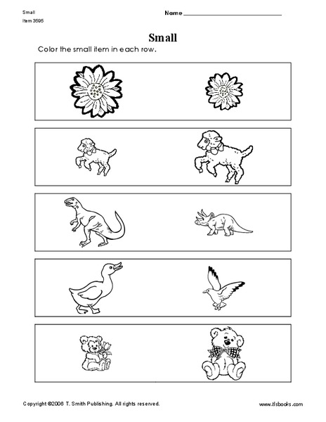 Small Worksheet