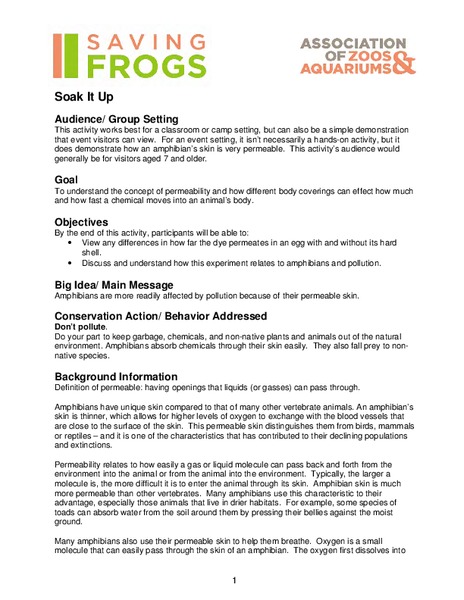 Soak it up Lesson Plan