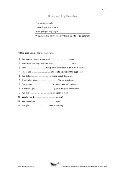 Some and Any Exercise Worksheet