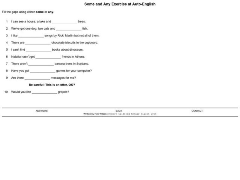 Some and Any Exercise Interactive
